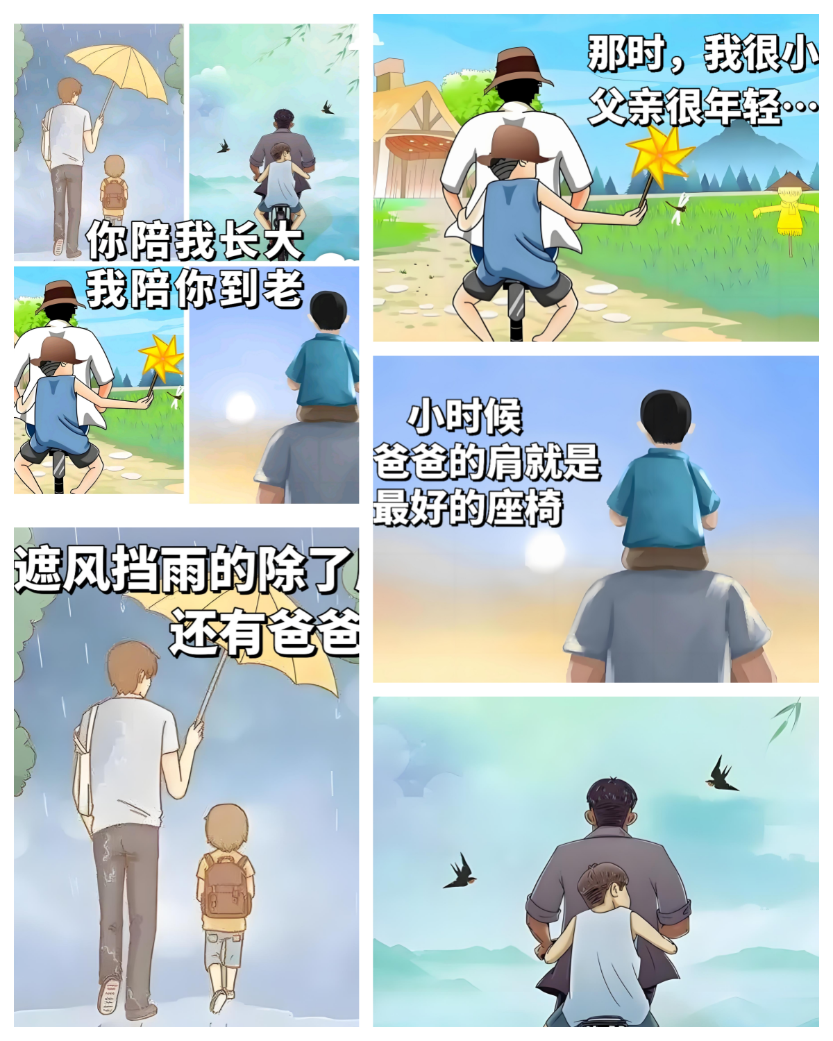 目送龙应台_目送龙应台主要内容概括