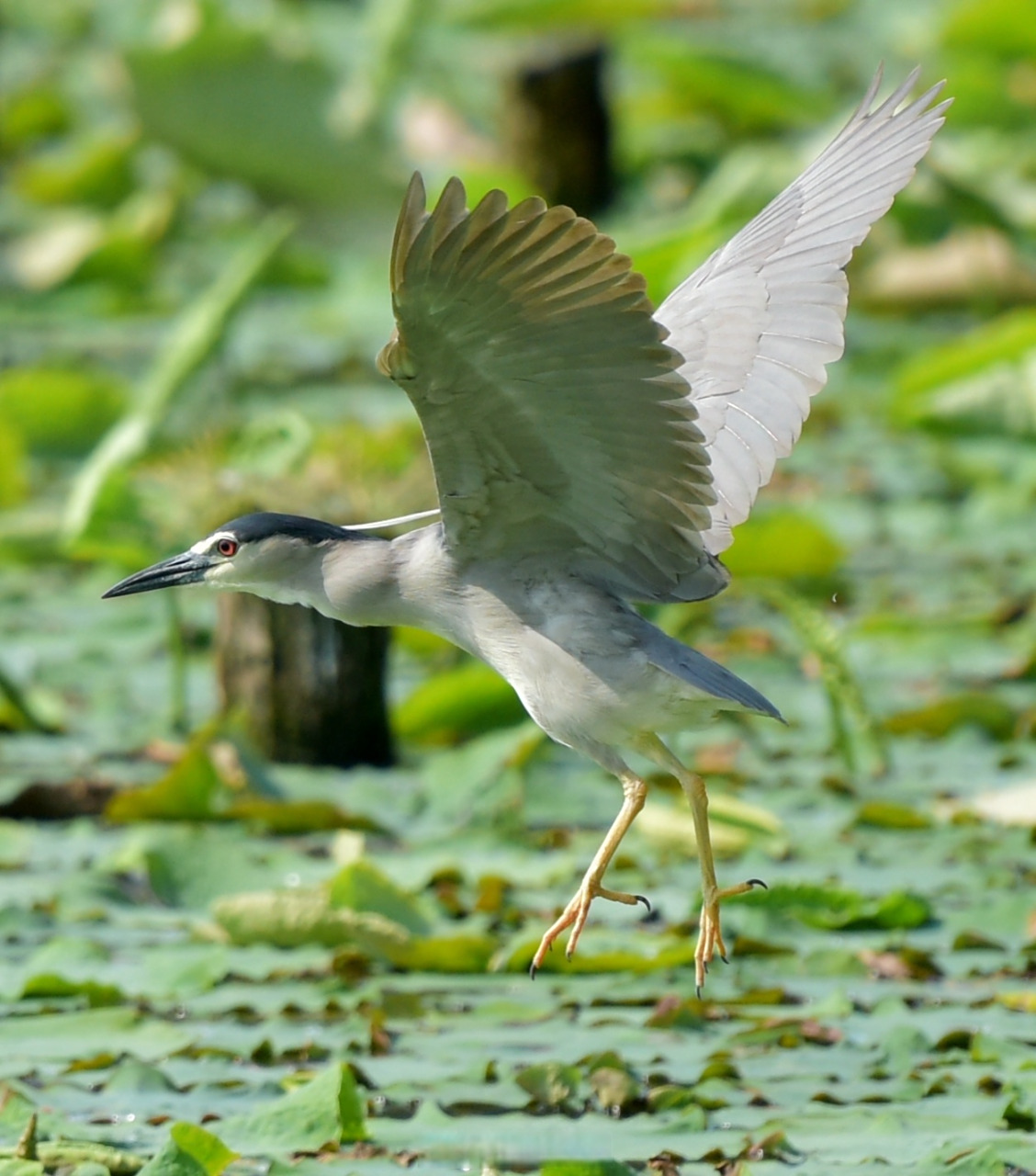 (图:宁波发布特约摄影师 水贵仙/摄)