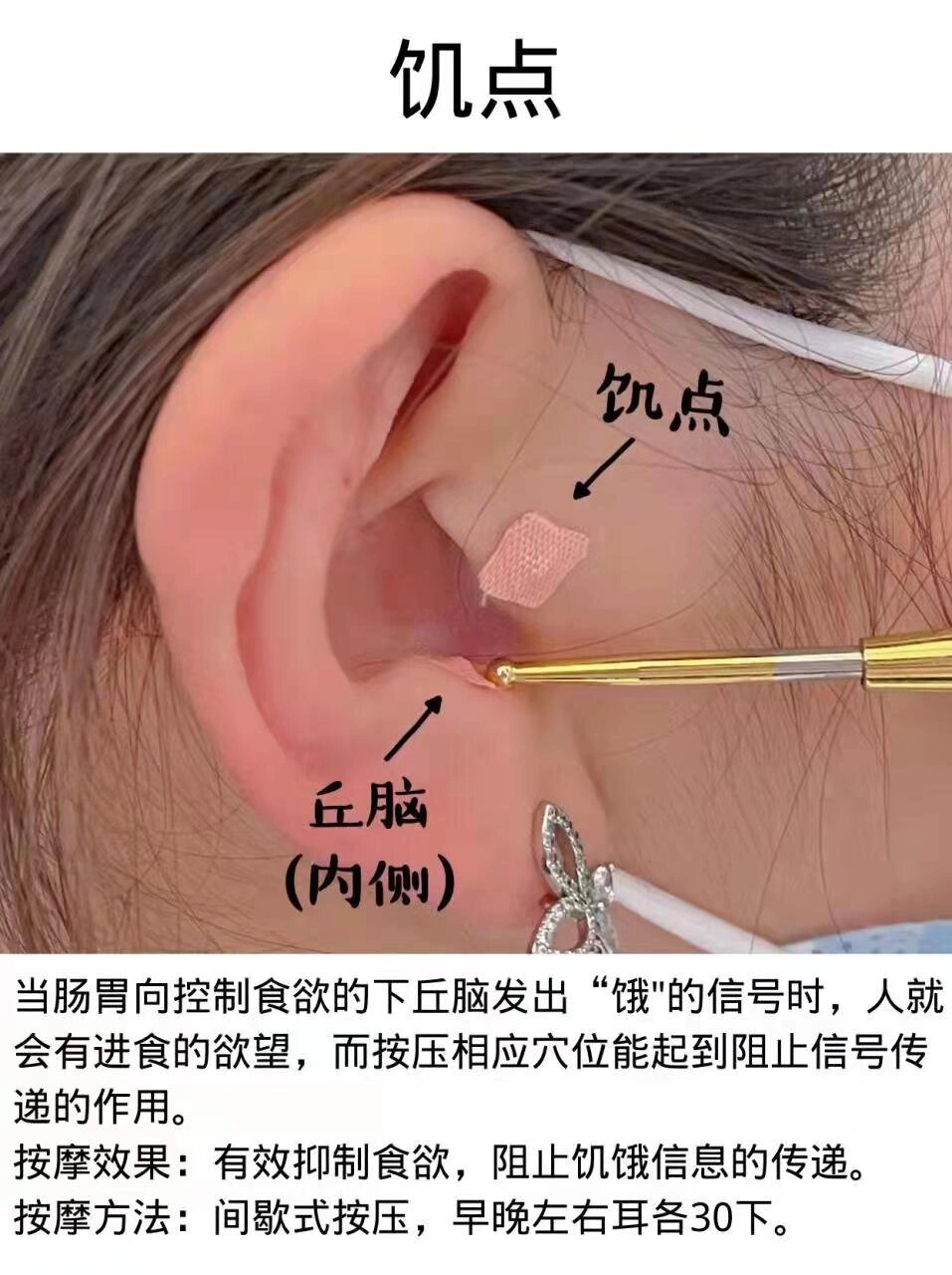 中医减肥小贴士 耳朵上的穴位竟可以减肥⁉️ 老是容易肚子饿❓