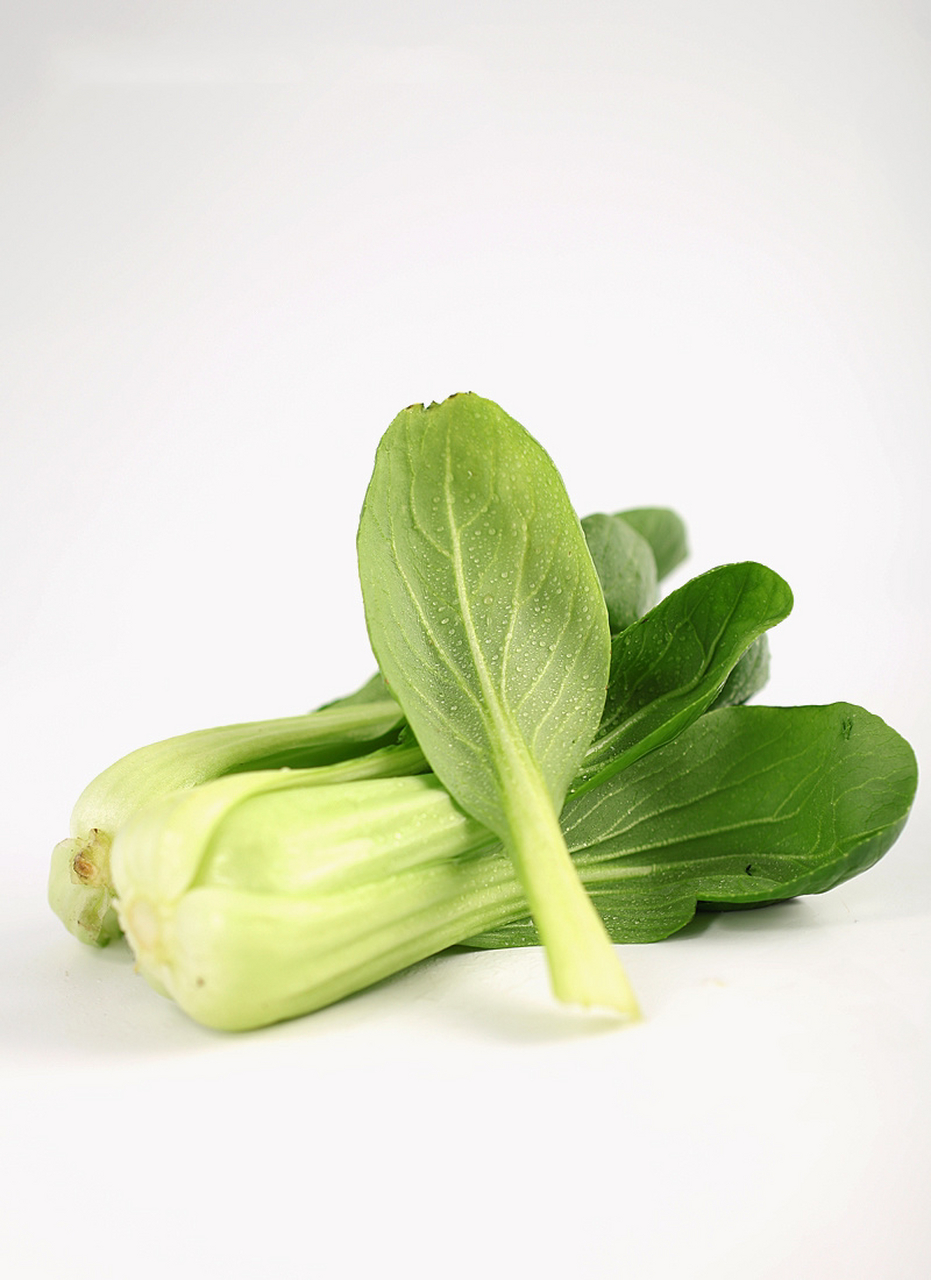 蔬菜-新鲜小白菜绘画素材02油菜拍照 油白菜,苦菜,是十字花科植物