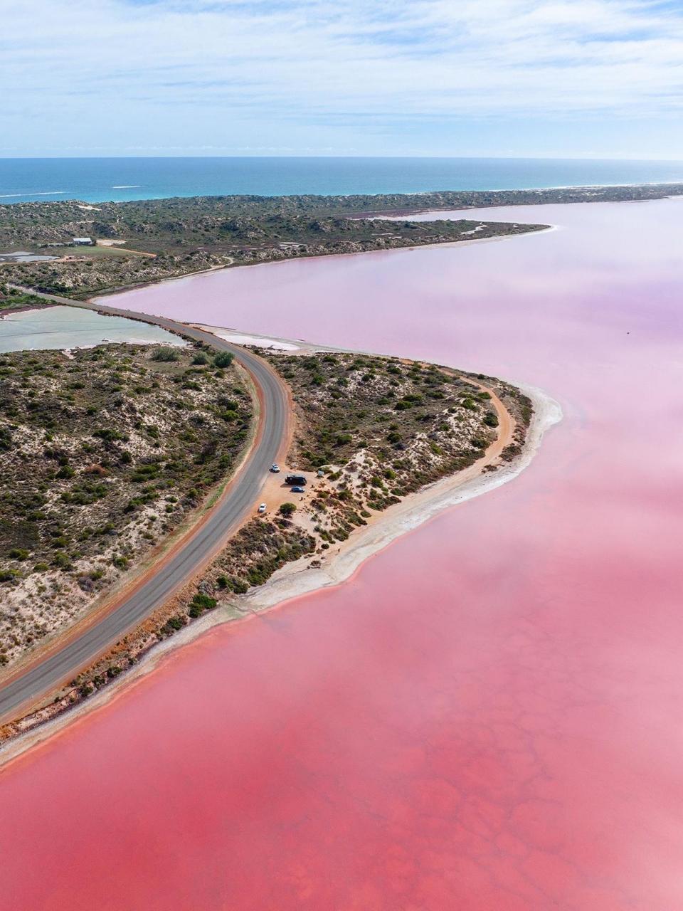 今日幸运色:必须是芭比粉啊～位于西澳大利亚州的赫特潟湖(hutt