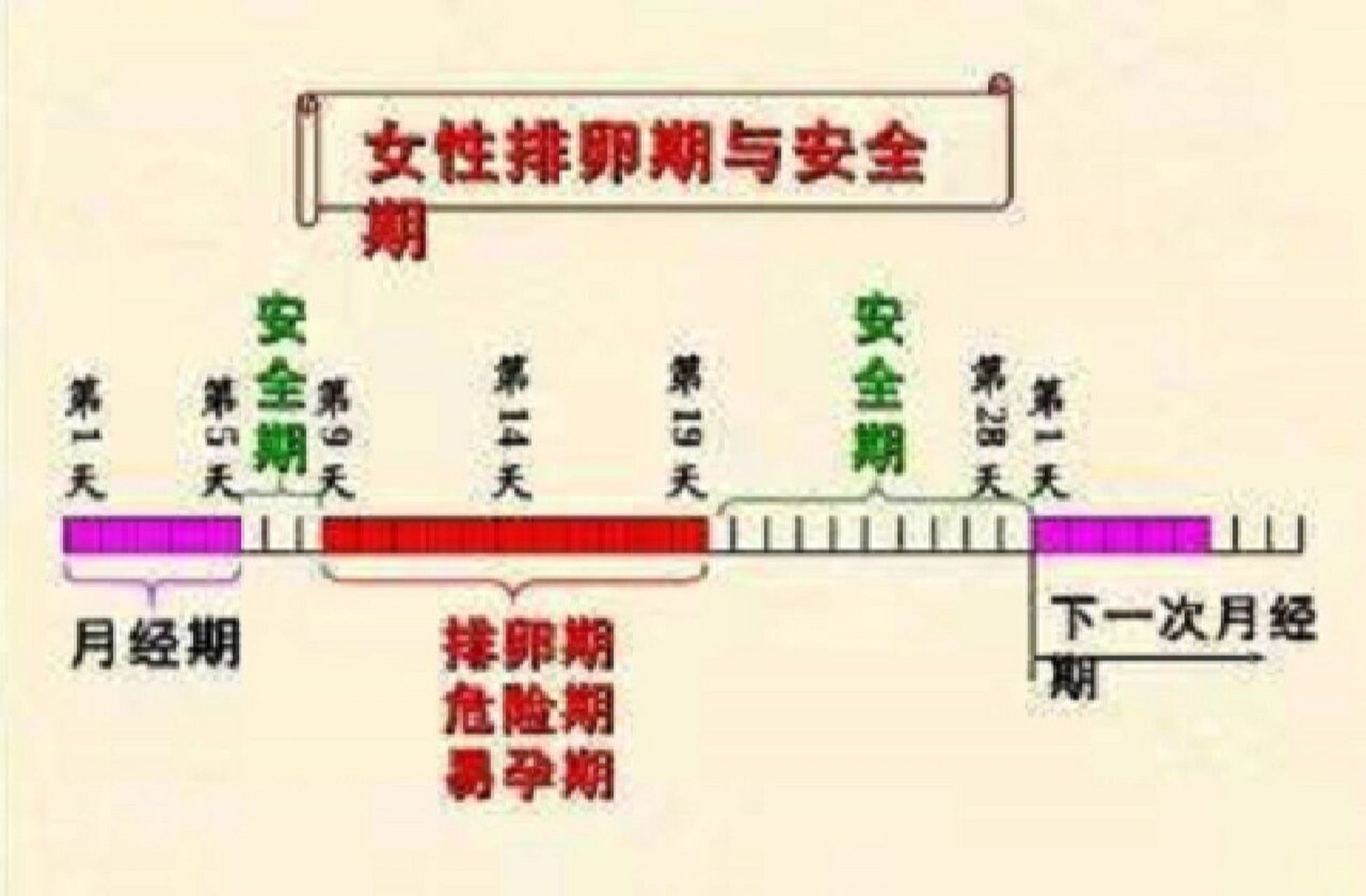 一般是指女性生理期的前七天和后八天,而排卵期则是在女性下次大姨妈