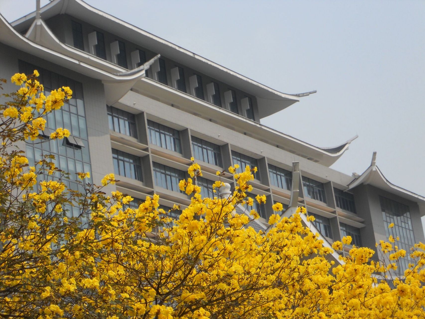 广西民族大学思源湖校区详细解答 ①宿舍问题丨我住的文德公寓女生