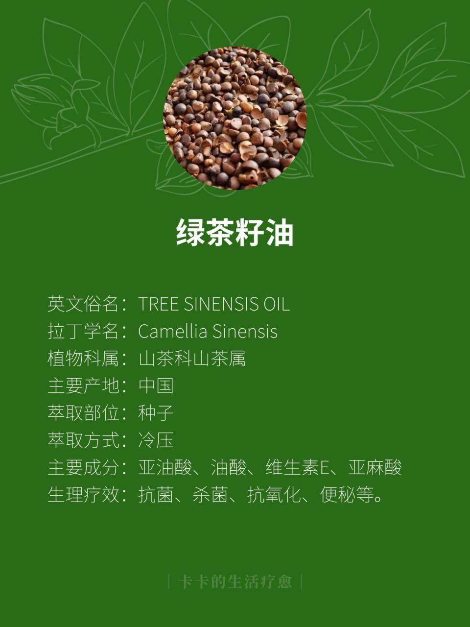 绿茶籽油图片