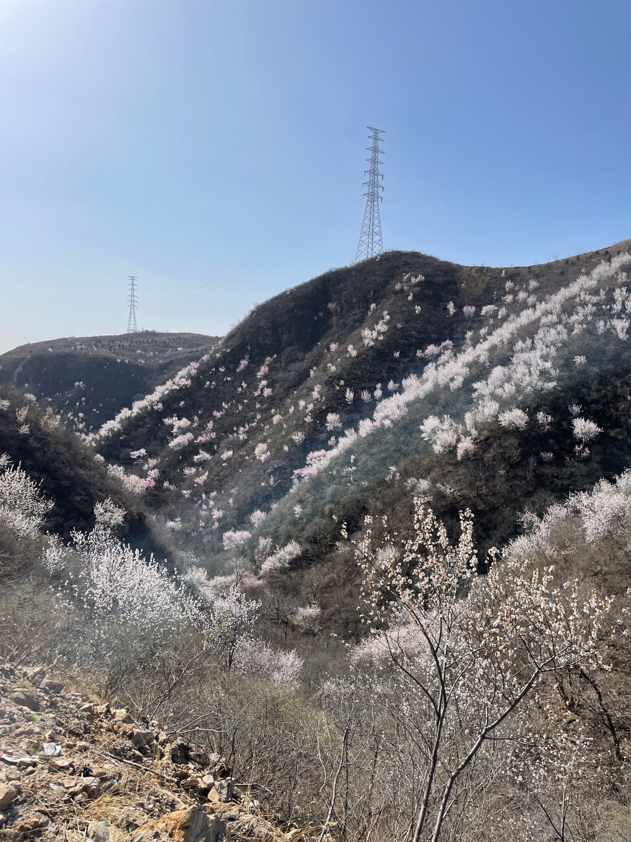 房山口头村旅游图片