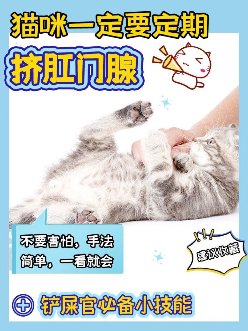 猫咪喷肛门腺液体图片