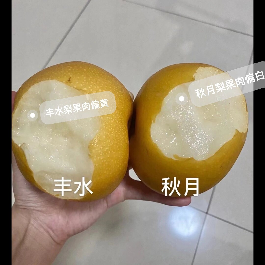 秋月梨vs丰水梨 1,口感有区别.