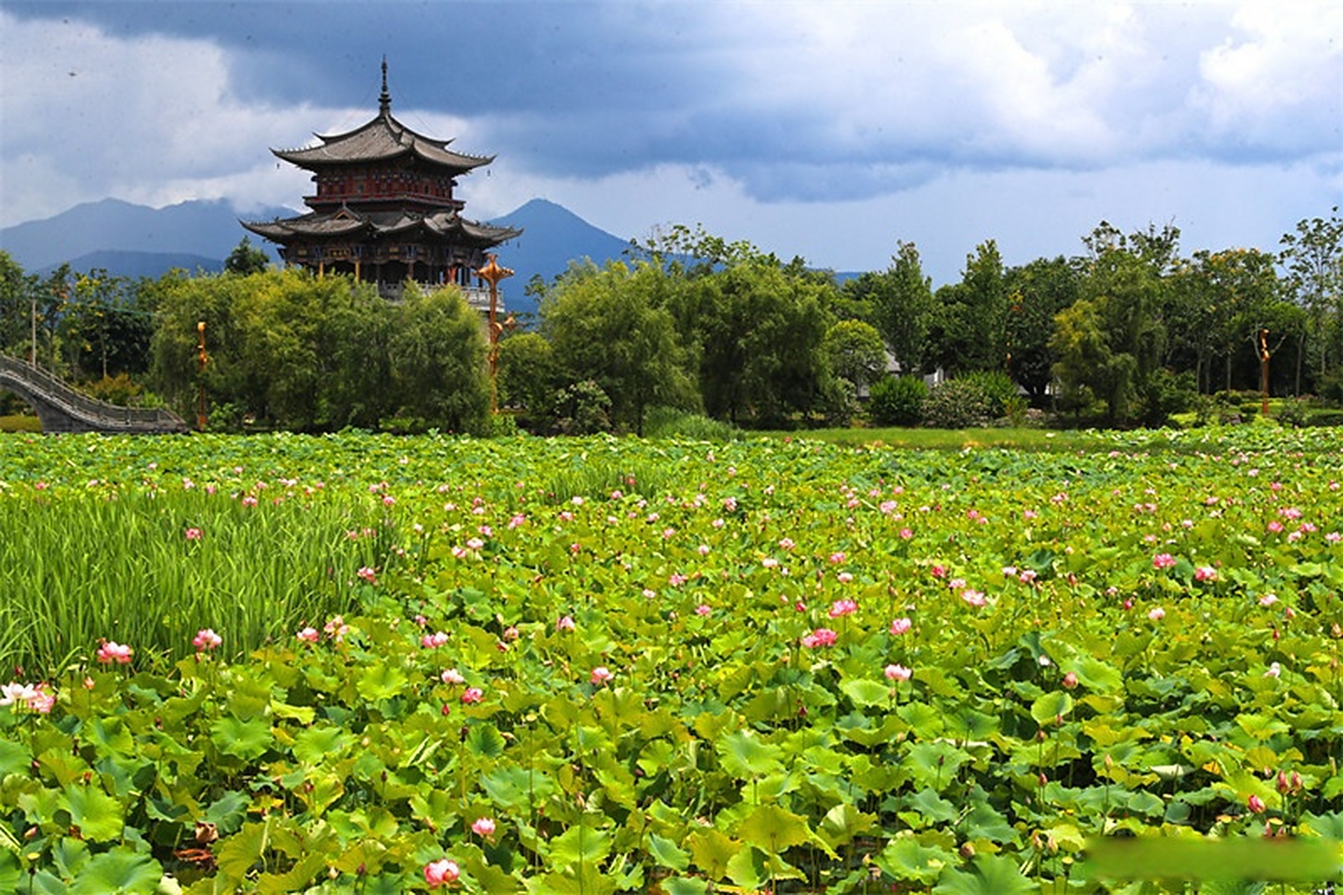 总要去趟腾冲吧# 【腾冲:绿意随清风 此景最清凉】腾冲市区的东