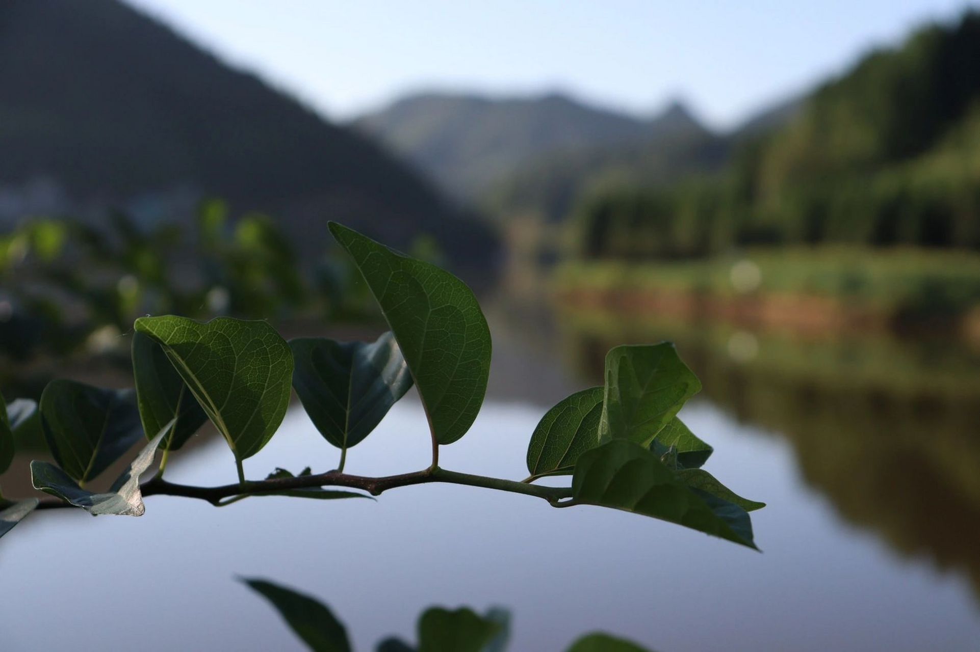泸州避暑胜地|叙永摩尼镇仙草湖 这里海拔1000米 感受21度的夏天 可以