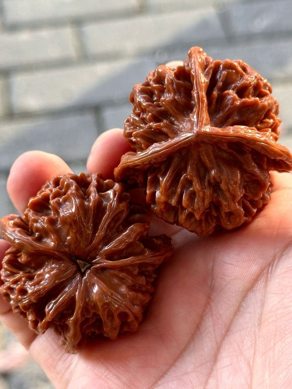 帝王三棱狮子头 包浆老核桃,蜡质皮,骨质特别好,配对也没毛病,正字奔