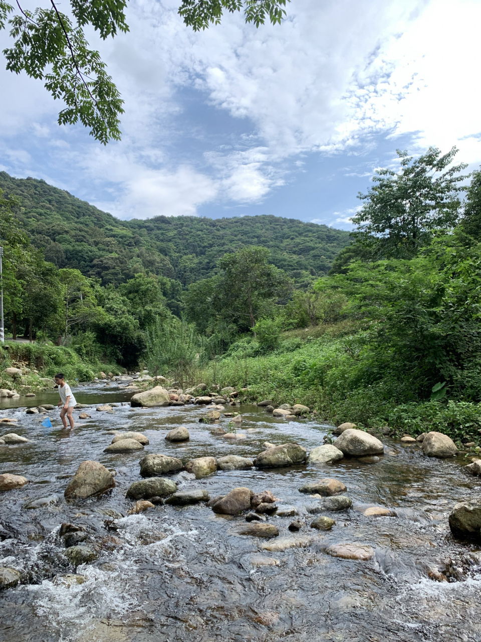玩转罗浮山|避世三小时之酥醪村 位于惠州博罗的罗浮山下,水清,水凉