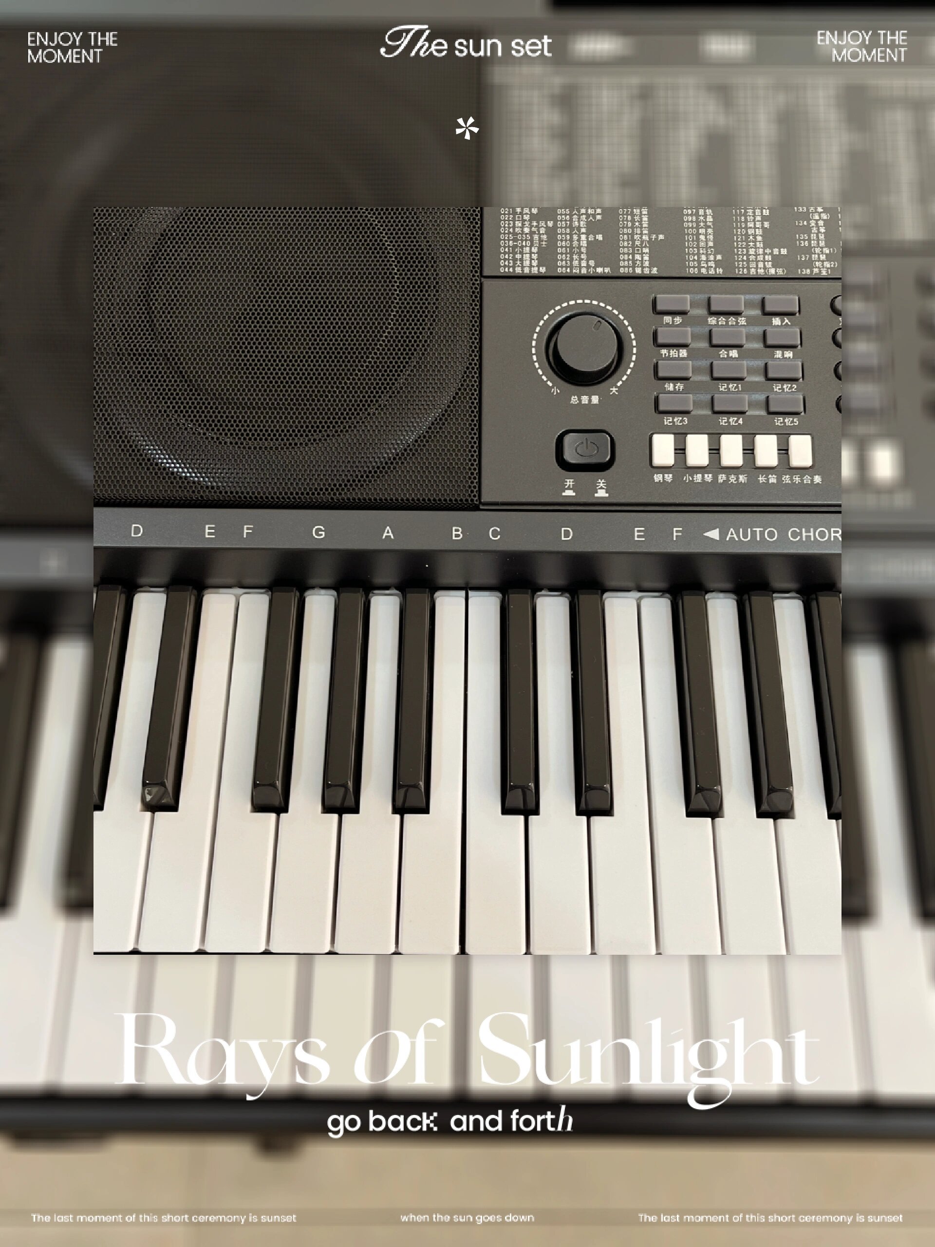 新韵高端电子琴300.蓝牙,锂电,都有usb支持