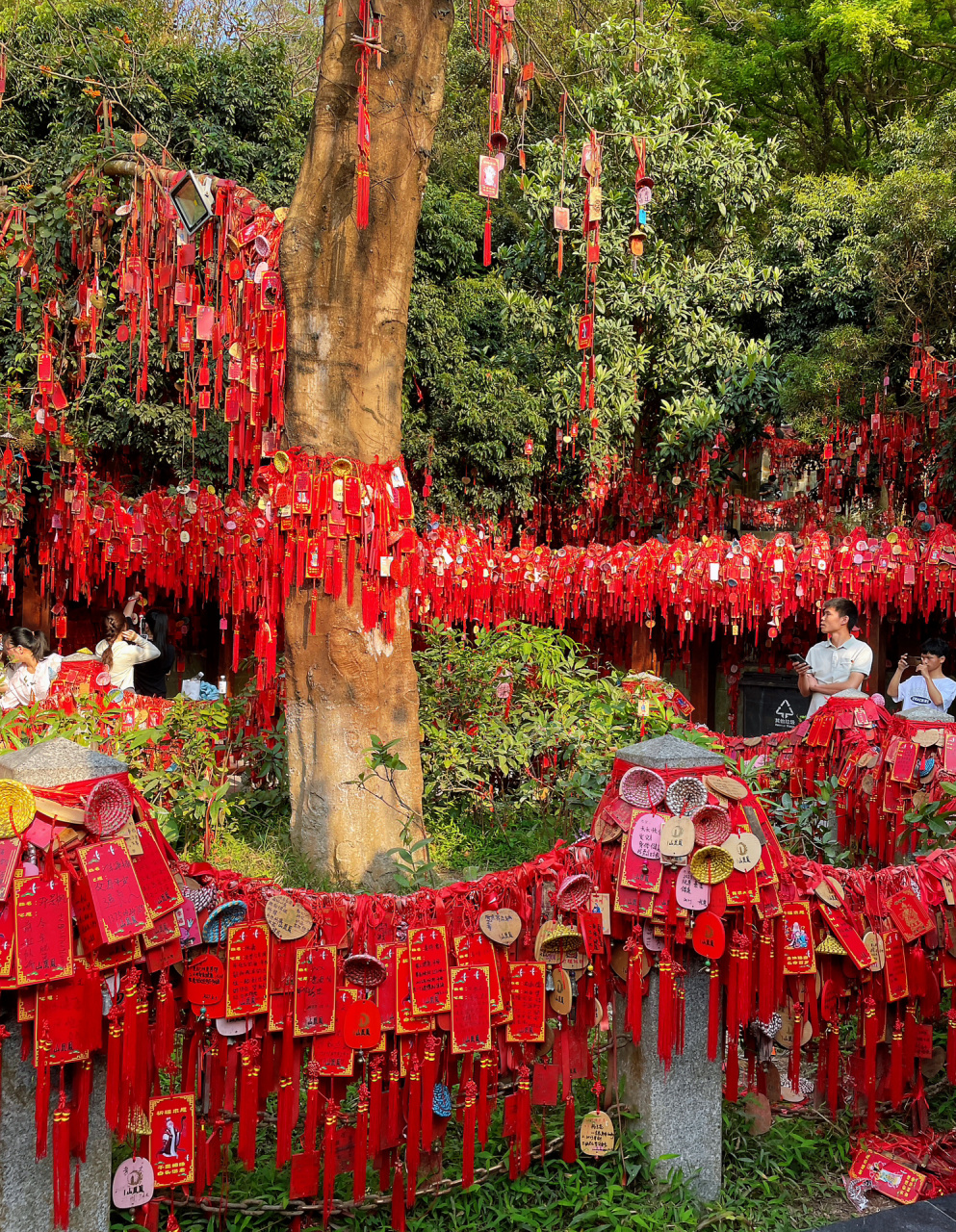 深圳凤凰山祈福图片