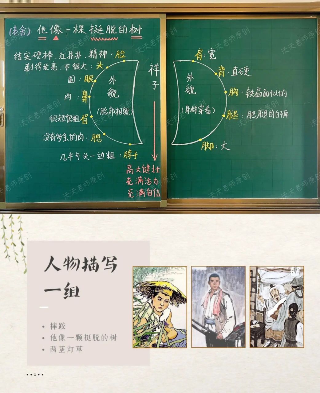 五下《他像一棵挺脱的树》原创板书设计 板书设计: 一个圆分为两半,分