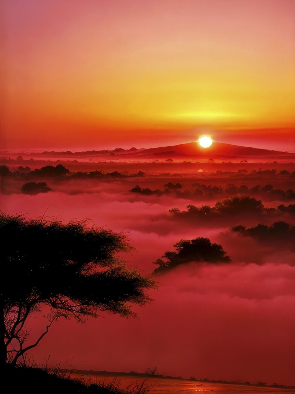 治愈系手机风景壁纸—日出 拿图请留痕,需要原图请私信,免费送.02