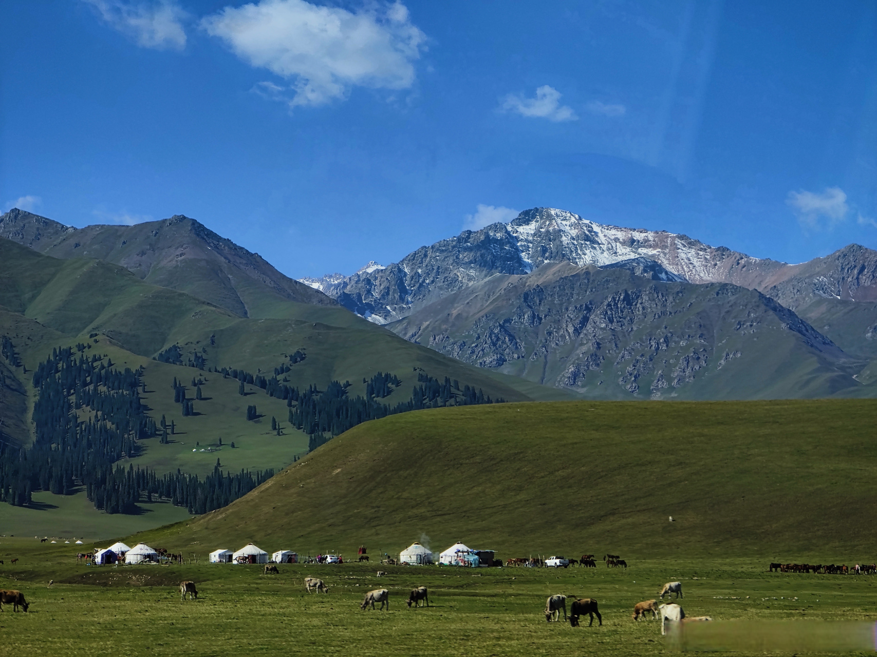 99跟着974行游大美新疆99 海拔2000米的空中草原那拉提 毡房内