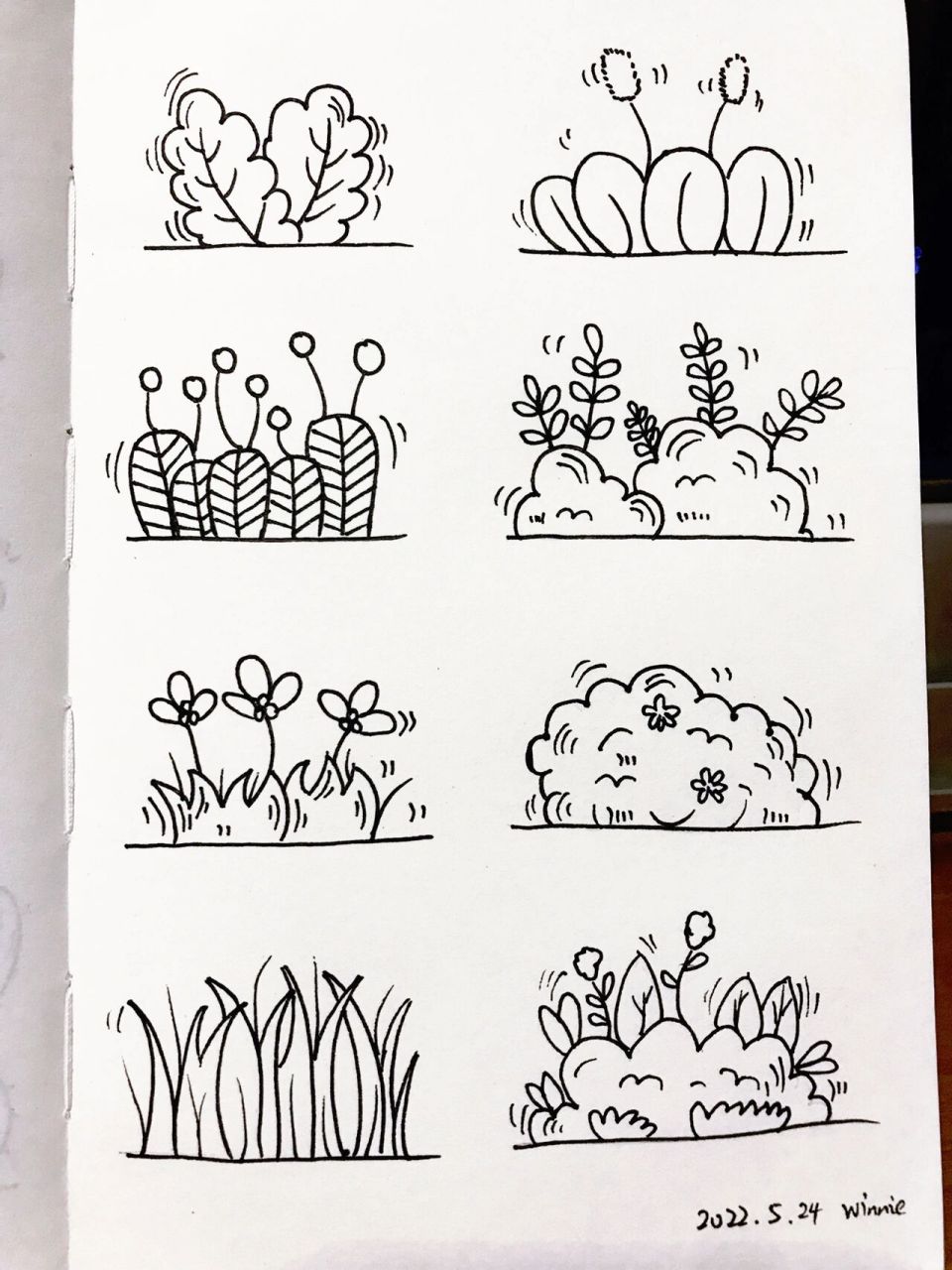 画画203|简笔画|植物篇——小草02 适合新手临摹 容易下手简单简笔