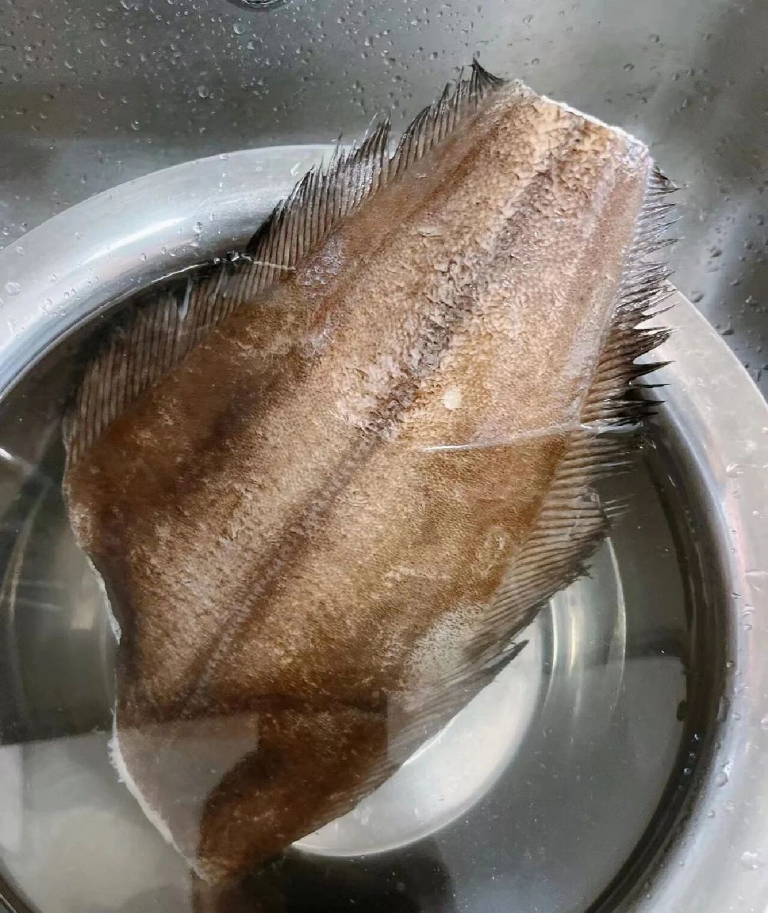 这家深海鲽鱼也太好吃了吧9595 鲽鱼生产长在沿海各地温带水域,是