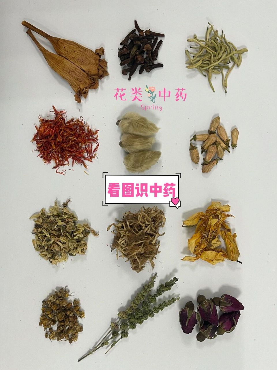 看图识药,花类中药鉴别 春天赏花,花类中药鉴别,你还知道哪些花入药呢