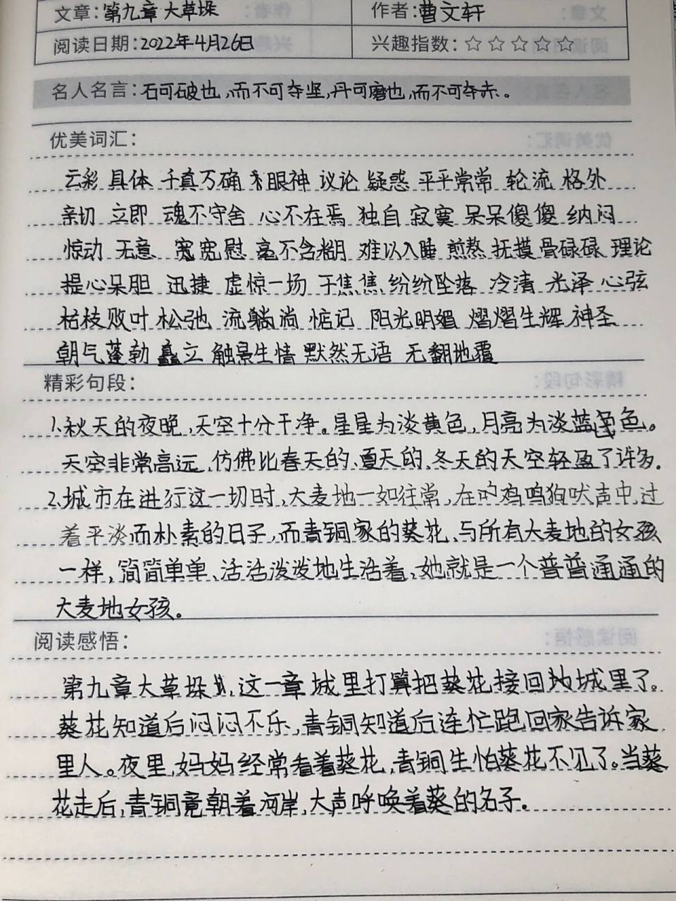 《青铜葵花》摘抄笔记 第九章