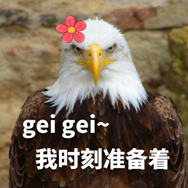 一组熬鹰表情包 图一就是我每天的心情 不过自从上次直播他那么说了