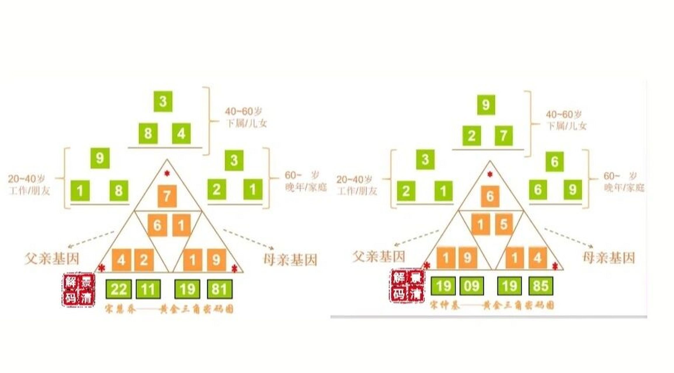 生命密码|7号人宋慧乔因性格不合婚姻解体 看看乔妹"性格不合"源于