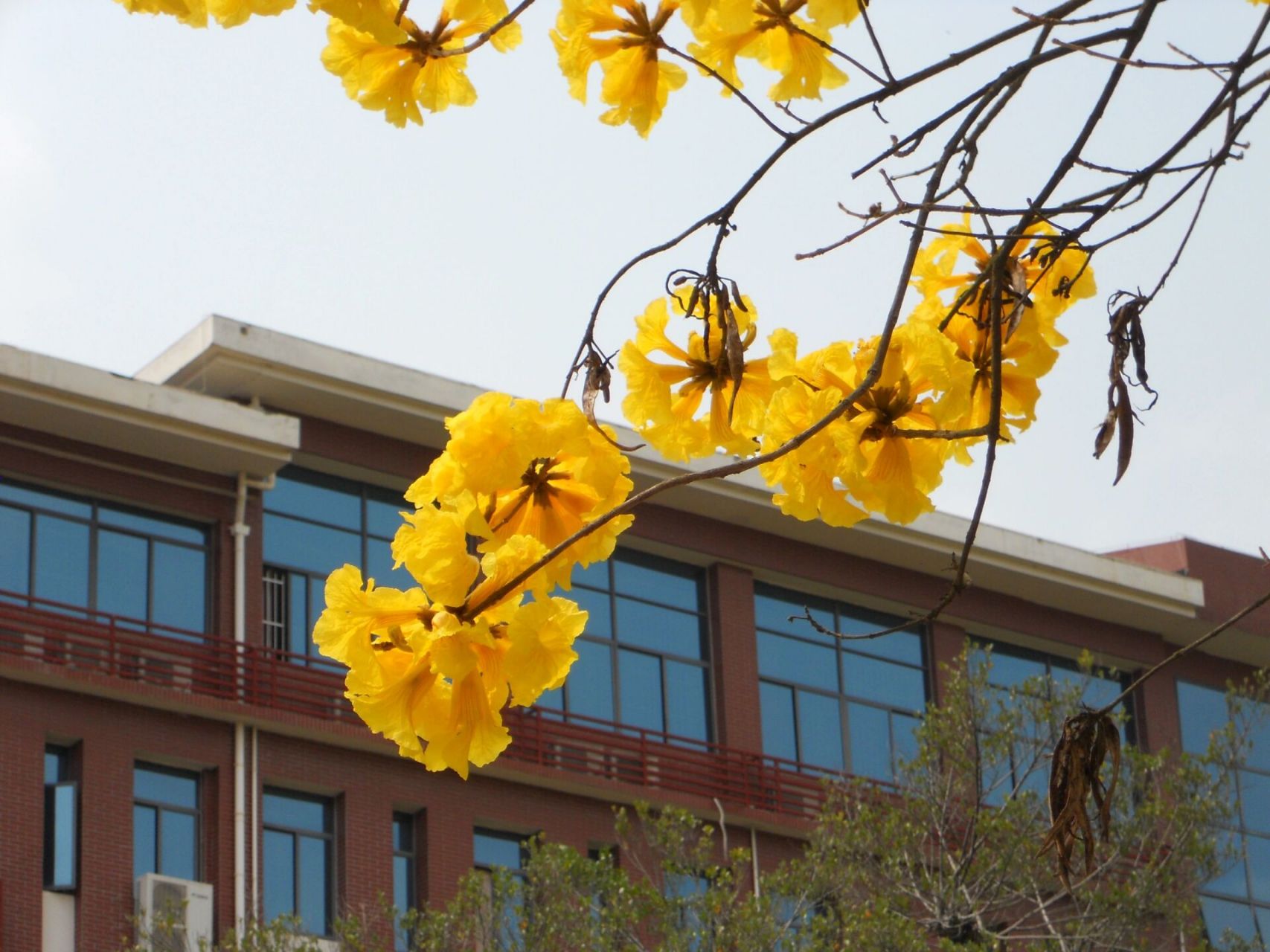 广西民族大学思源湖校区详细解答 ①宿舍问题丨我住的文德公寓女生