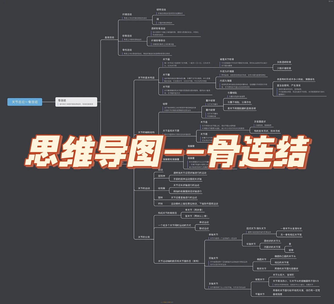 骨学的知识框架图图片