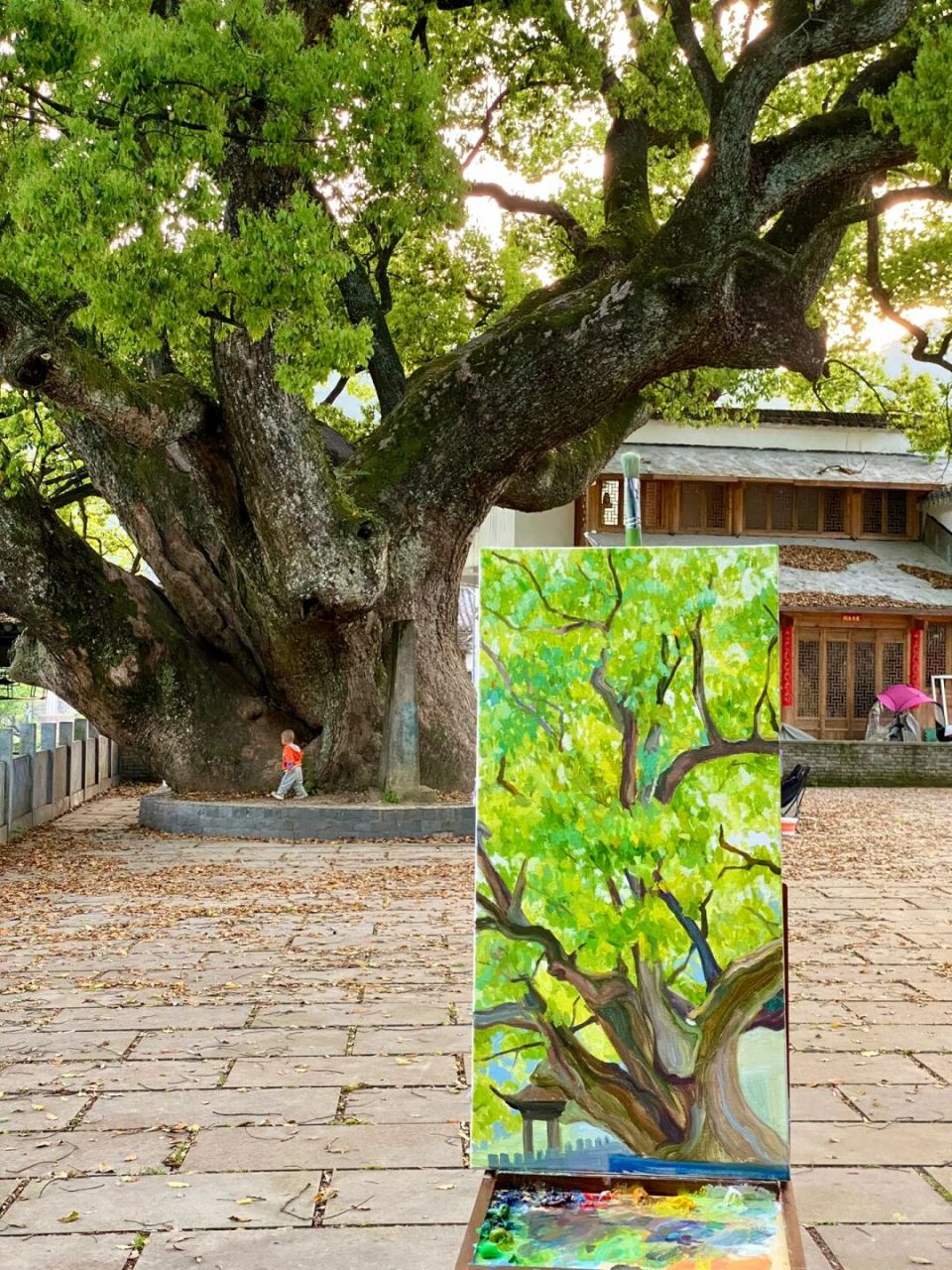 婺源day-12 虹关村古樟树 不知不觉已经出来快两周了,很喜欢虹关&察关