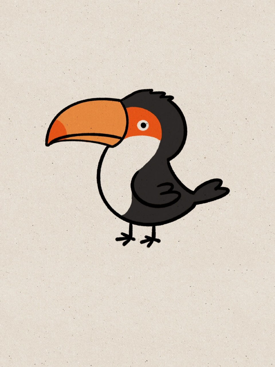 小贝简笔画-大嘴鸟 大嘴鸟学名和译名都是依据该鸟的特征命名的,即这