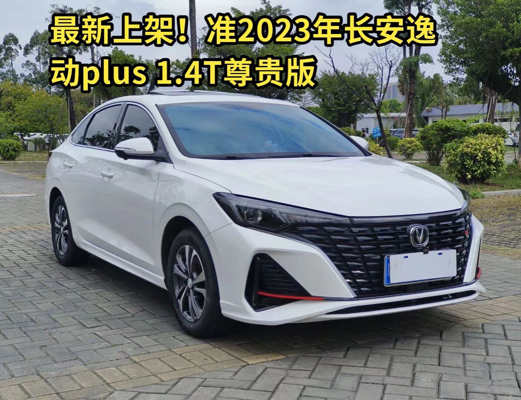 准2023年长安逸动plus 1.
