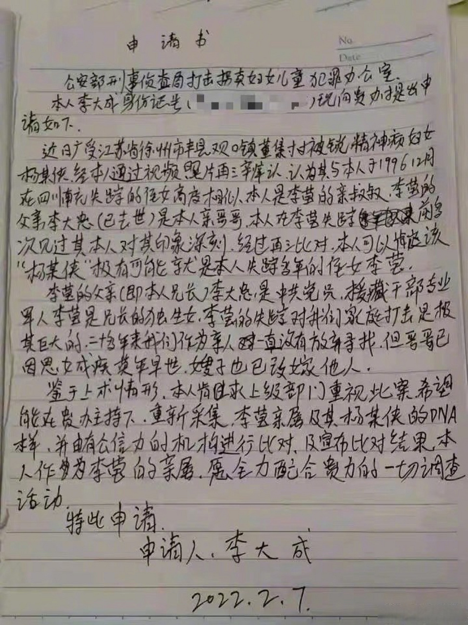 失踪的李莹图片