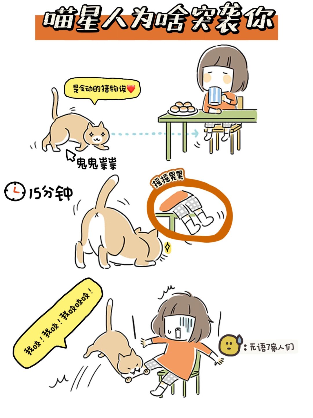 被猫咬后处理方法 你知道猫为什么突然攻击你嘛?