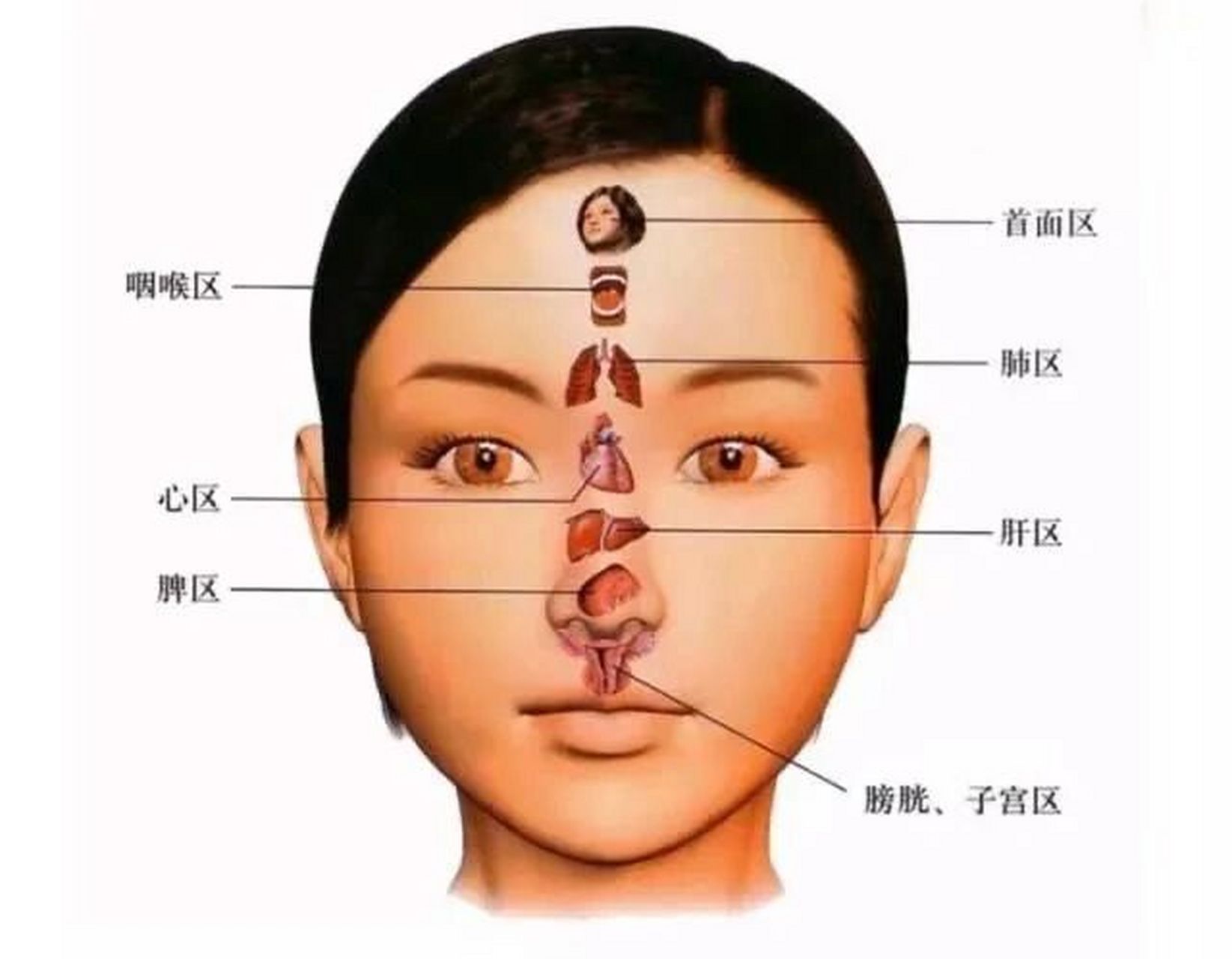 脸上长斑的反射区图片图片