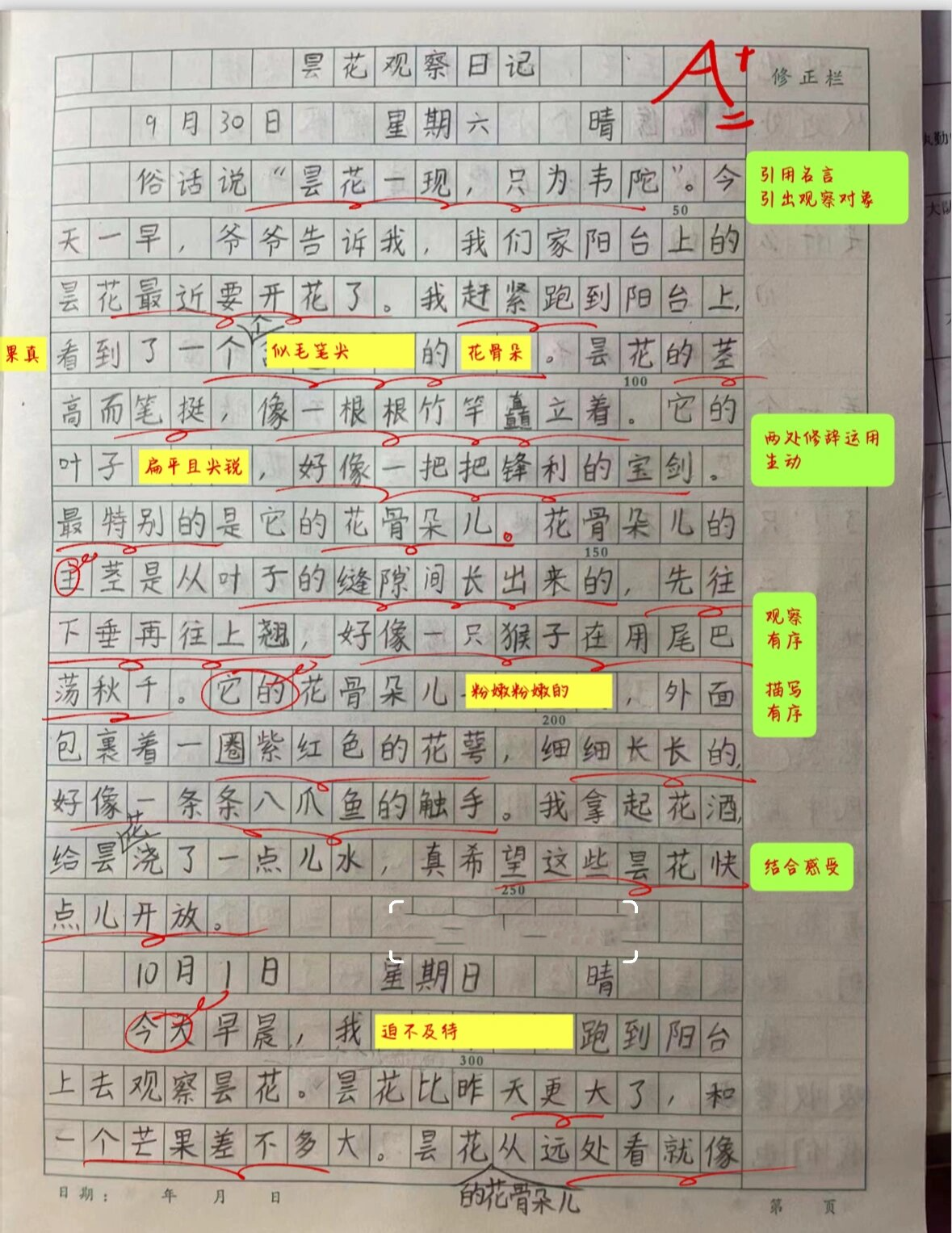观察花的作文400字(观察花的作文400字左右)