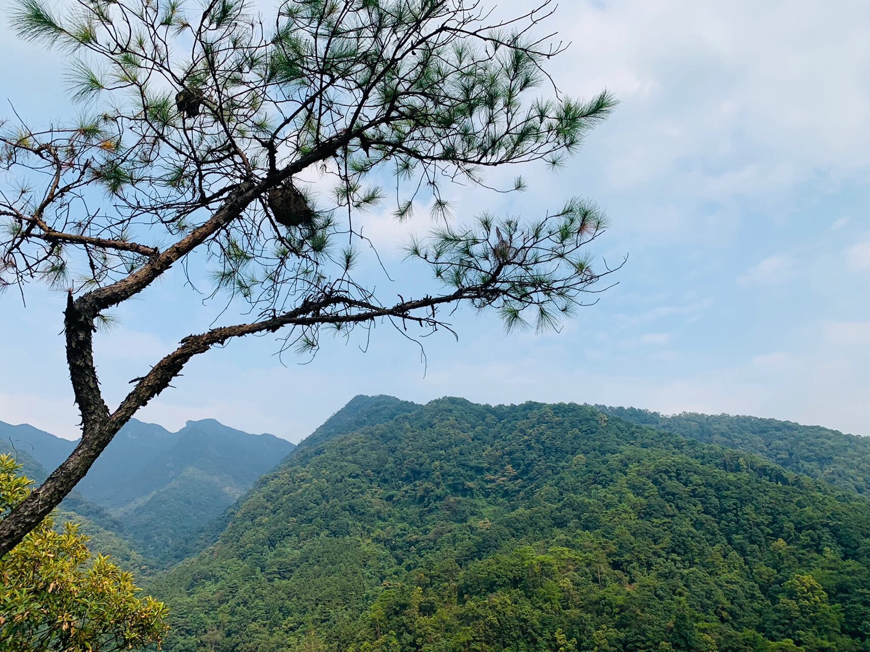 英德石门台 今天来到英德石门台国家级森林公园徒步.