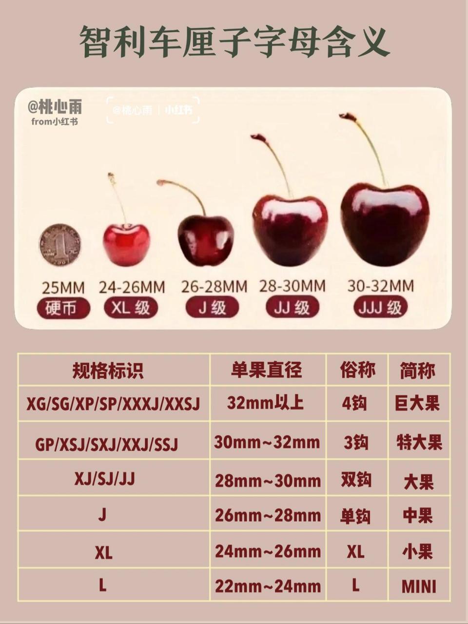 看完这篇再也不是车厘子小白 车厘子也不是越大就越好,酸度,甜度