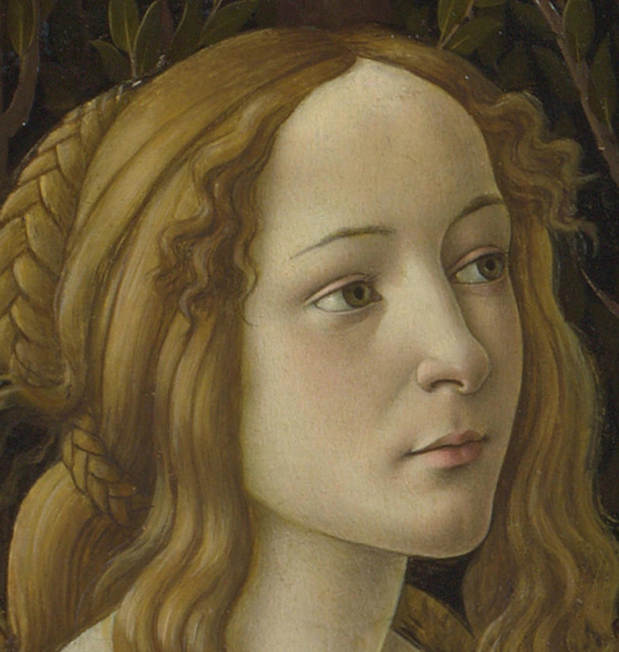 今天你看画了吗|维纳斯和战神 03996996 桑德罗·波提切利(约