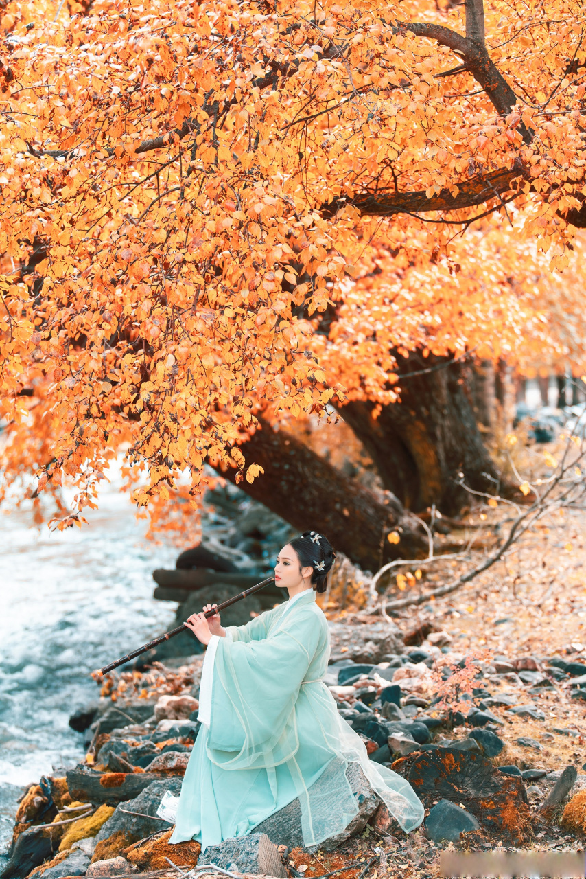 《秋风林》守候在枫林里,等待那一缕秋风,片片的落叶,红得那么鲜艳