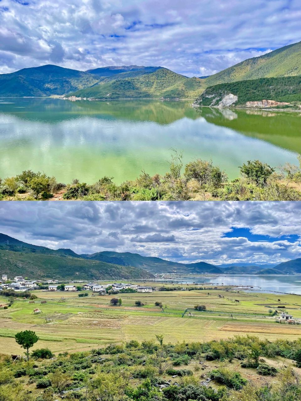 纳帕海和依拉草原是在同一个区域的,不需要门票,骑马另外收费