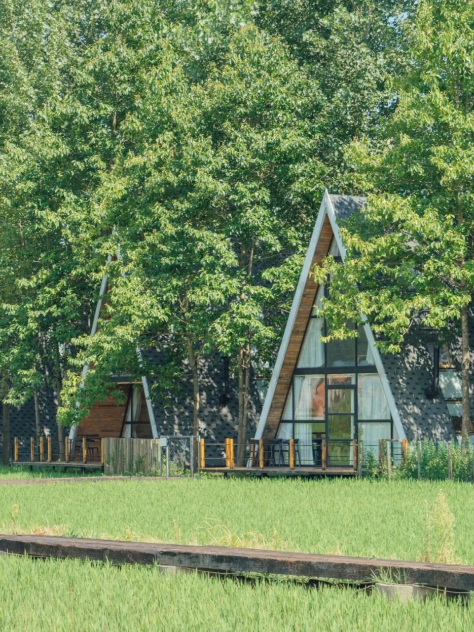 湖北民宿| 真的是宫奇骏画风,自然清新农场 袁夫稻田农场坐落在黄梅且