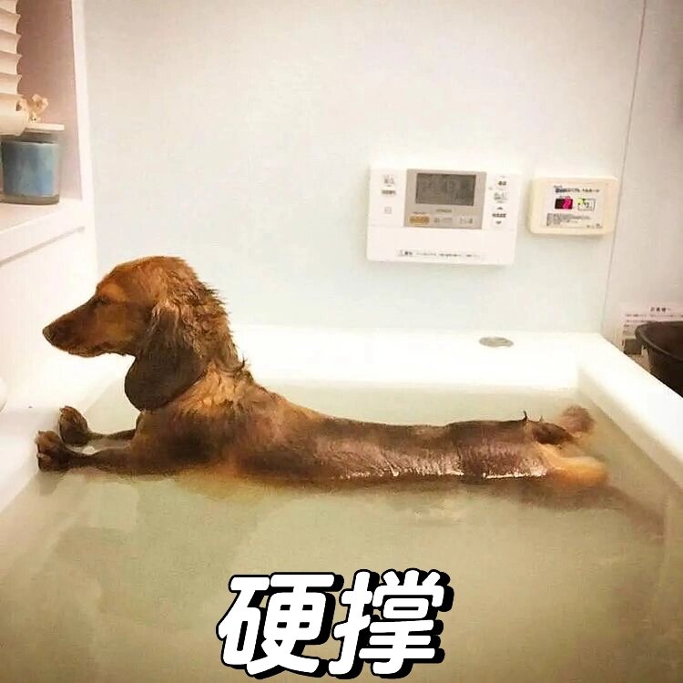 腊肠犬表情包图片