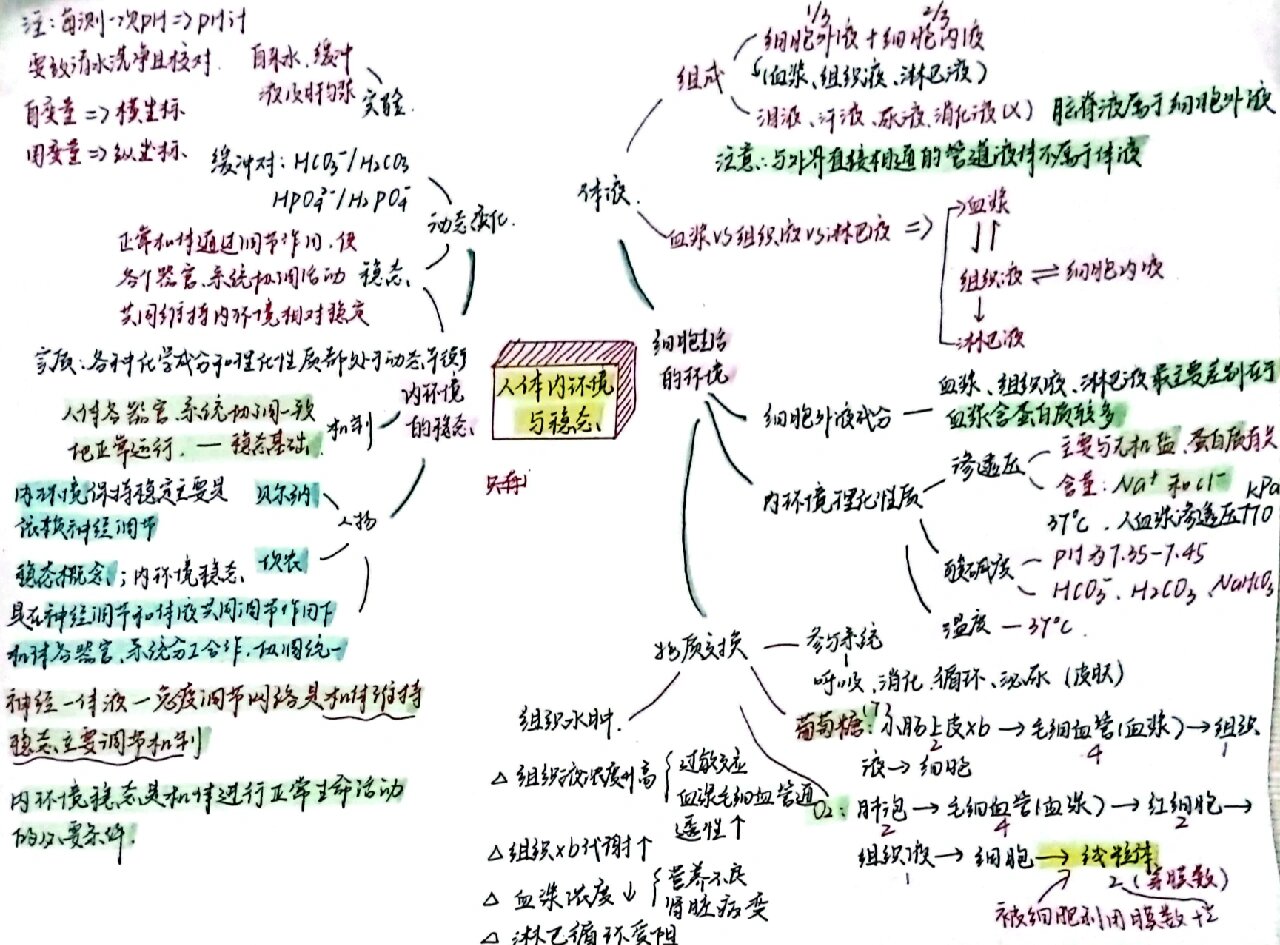 高二生物选修一前两章的知识思维导图