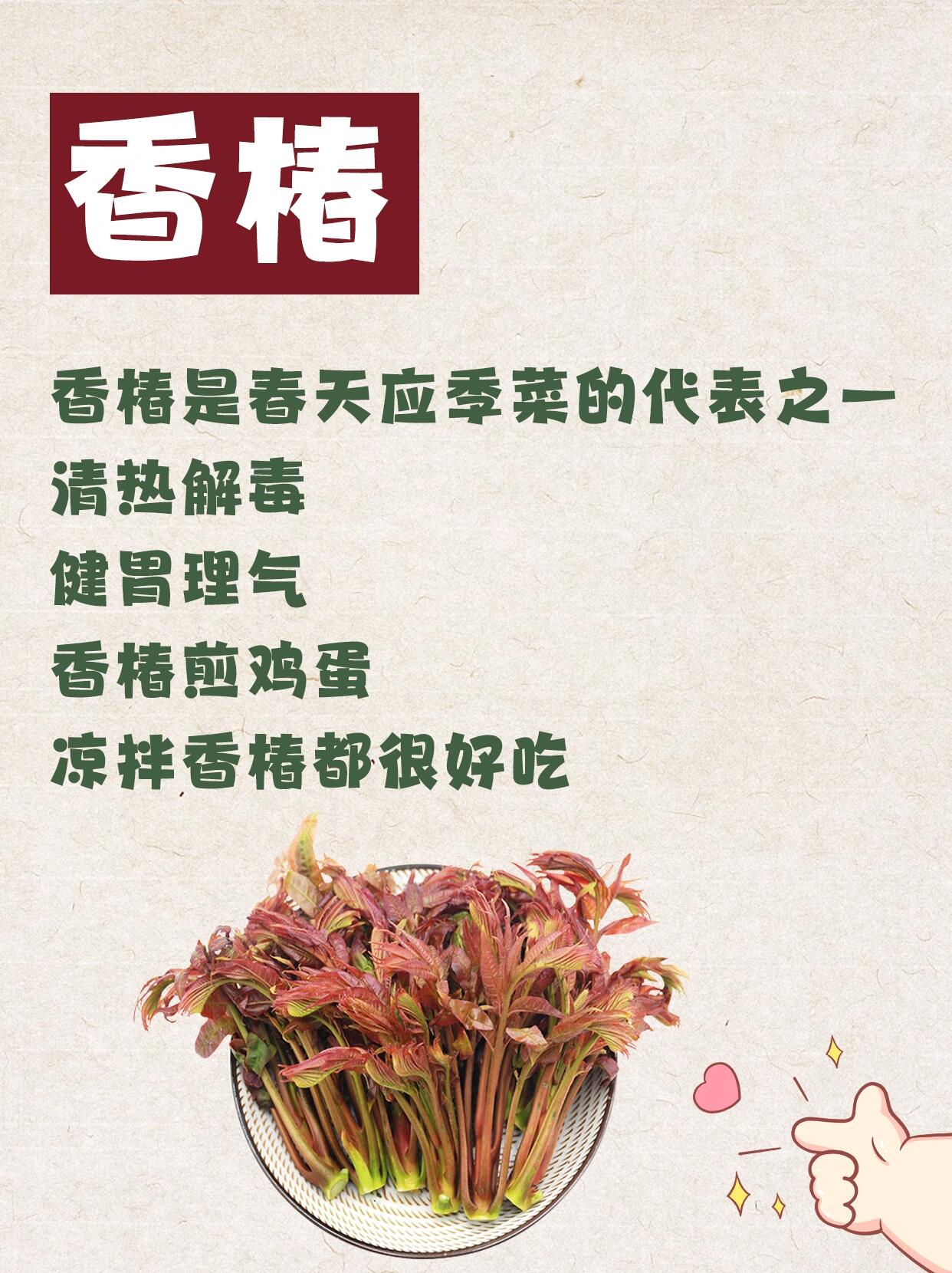 地菜的花语图片