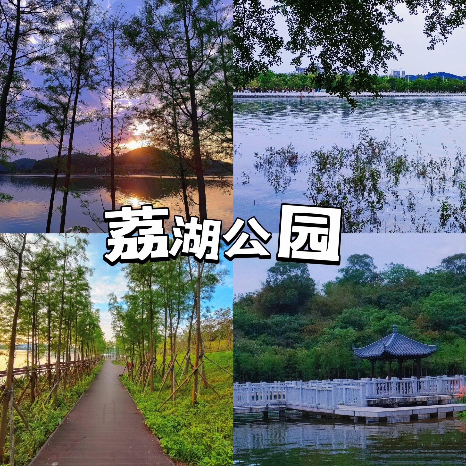 广州拍照|增城荔湖公园拍照圣地