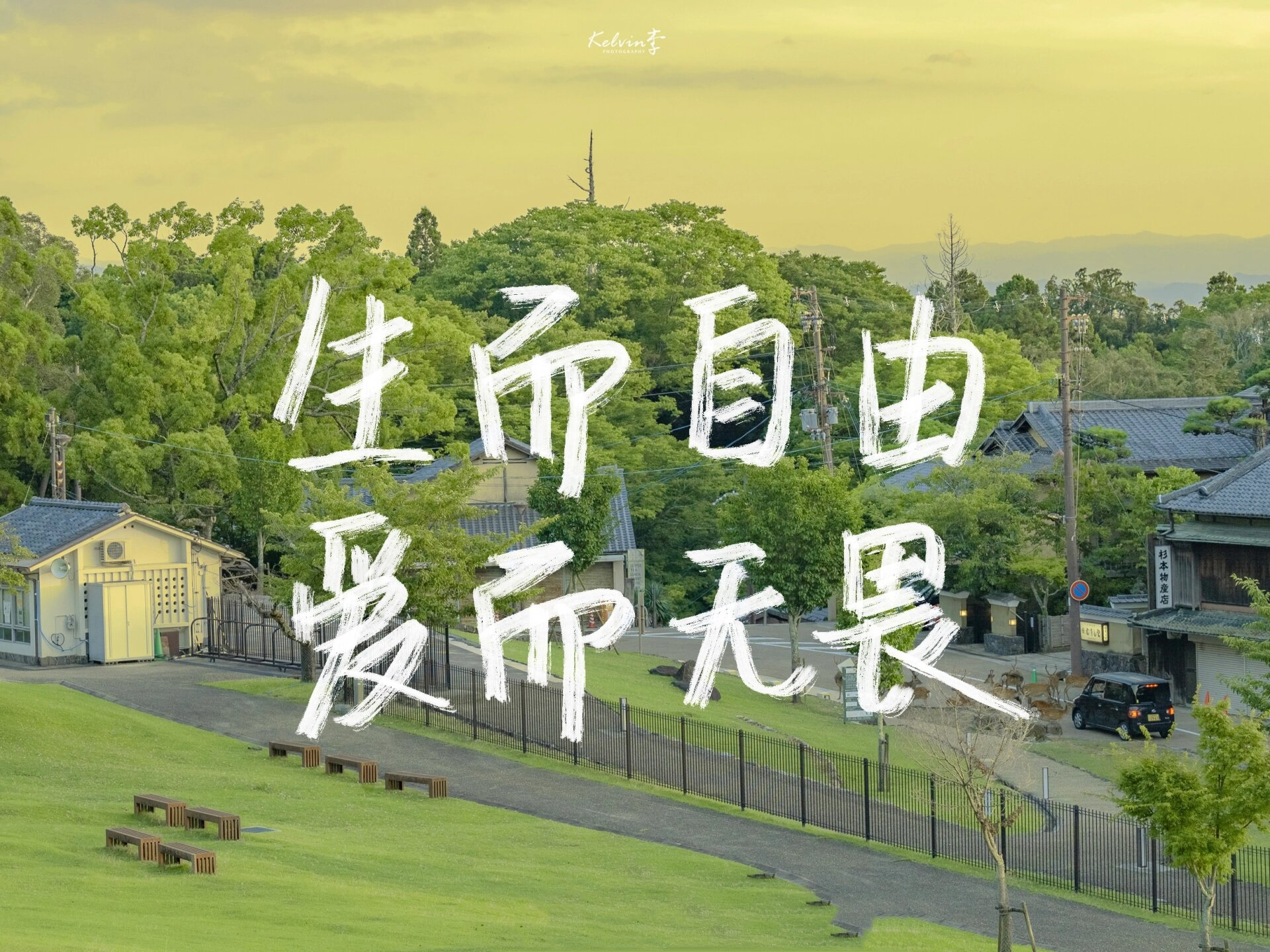 "山水万程 皆要好运" "生而自由 爱而无畏" "保持热爱 奔赴山海"