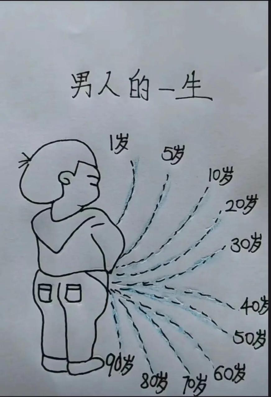 迎风尿三尺,顺风滴湿鞋,大家看看属于分段函数的哪一段?