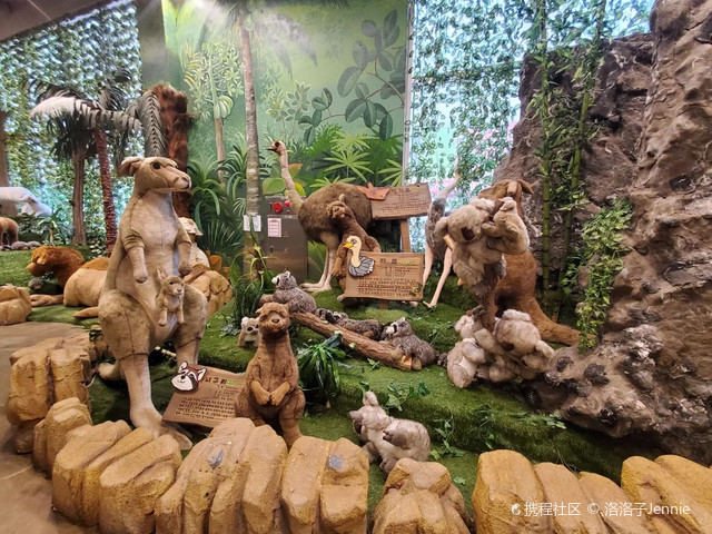 济州岛泰迪熊博物馆:百年经典,全球独家限量版收藏|打卡西归浦市济州