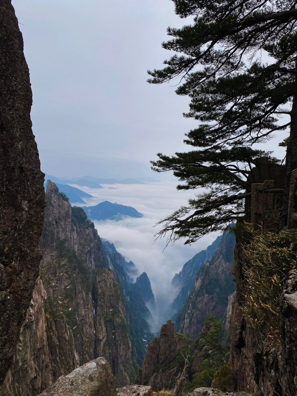万里江山皆图画——黄山 风景美如画,赞叹祖国河山之壮美.