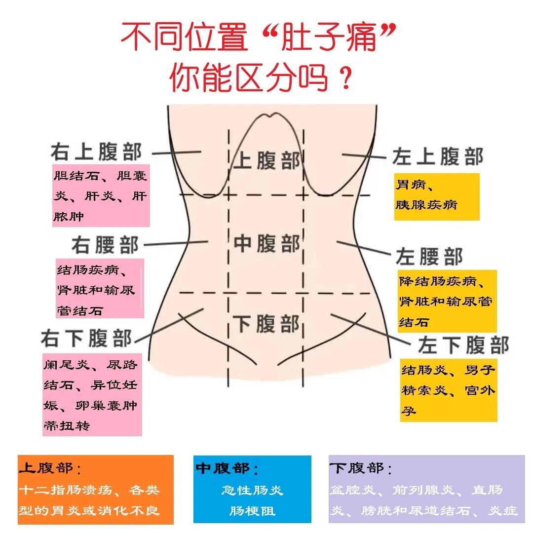 95 你说肚子疼01~具体是指哪儿?